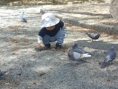 img_kids_poppo021pg img_kids_poppo021pg