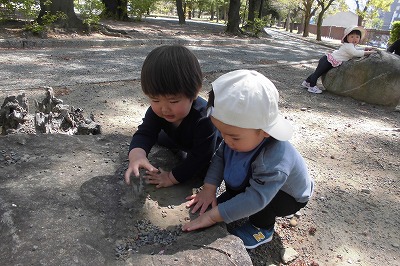 img_kids_poppo07 img_kids_poppo07