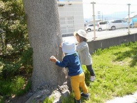 img_kids_shironishi019 img_kids_shironishi019