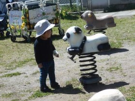 img_kids_shironishi029 img_kids_shironishi029
