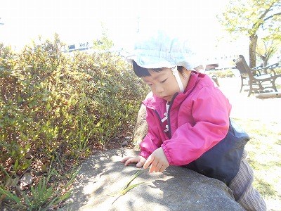 img_kids_sotoasobi011 img_kids_sotoasobi011