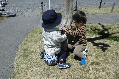 img_kids_sotoasobi016 img_kids_sotoasobi016