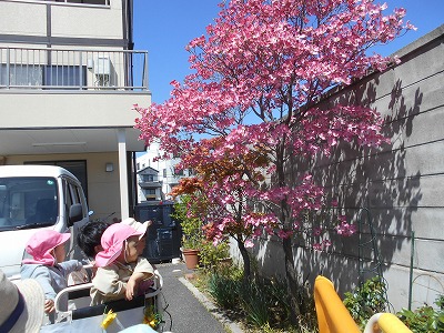 img_kids_sotoasobi06 img_kids_sotoasobi06
