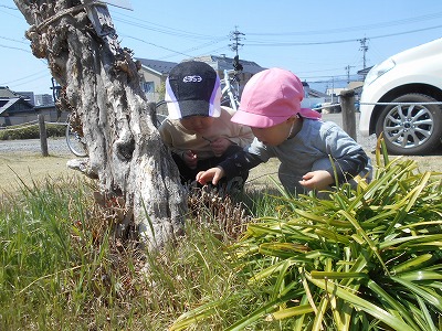 img_kids_vegetables029 img_kids_vegetables029
