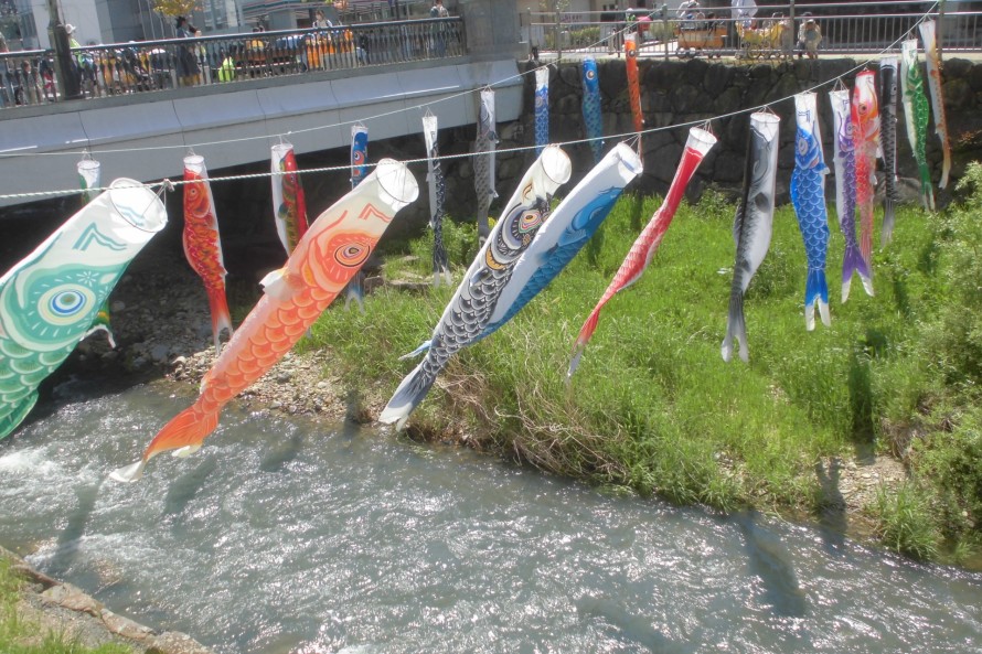 koi2-7 koi2-7