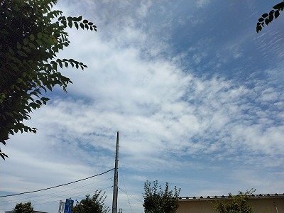 pur14 pur14