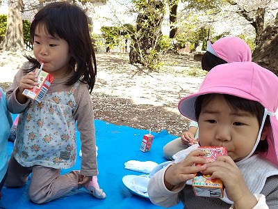 s0412hanami3 s0412hanami3