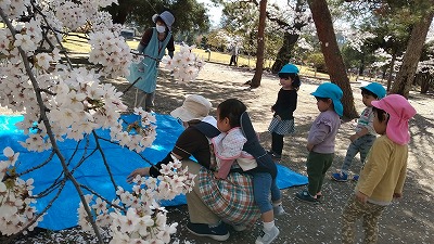 s0412hanami4w s0412hanami4w