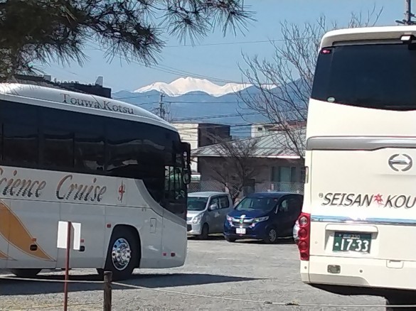 sakur37